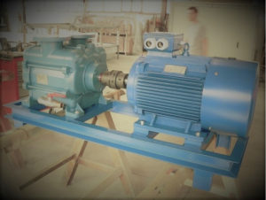 Vacuum pump for leather drying in tannery, in vacuum dryer